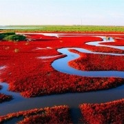 تالاب زیبای چین