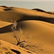 تپه های شنی
