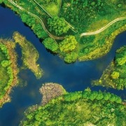 Wetlands International